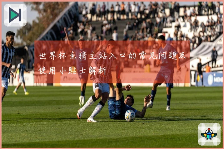世界杯竞猜主站入口的常见问题及使用小贴士解析