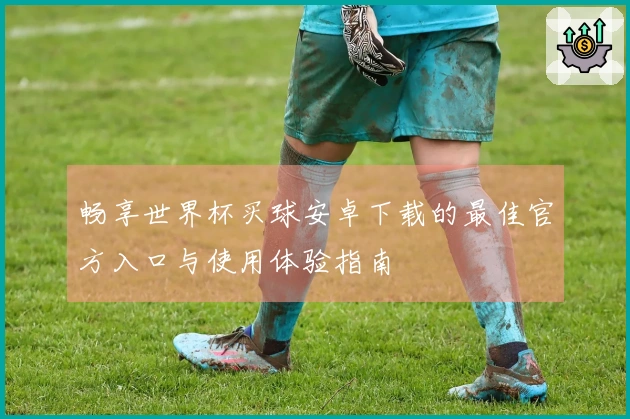 畅享世界杯买球安卓下载的最佳官方入口与使用体验指南