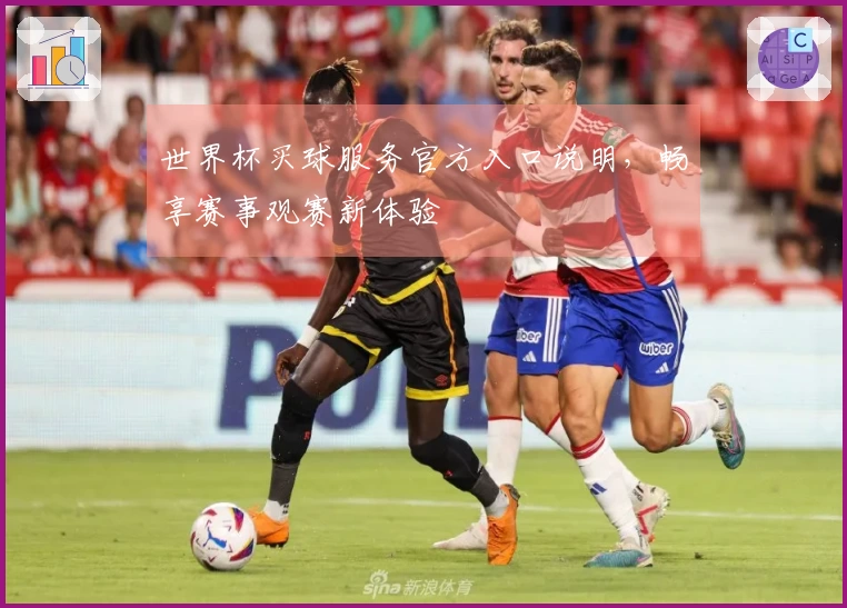 世界杯买球服务官方入口说明，畅享赛事观赛新体验