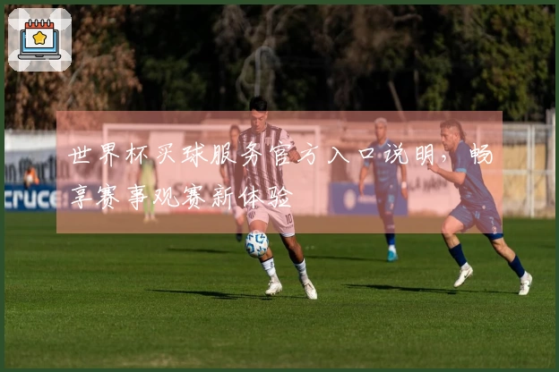 世界杯买球服务官方入口说明，畅享赛事观赛新体验