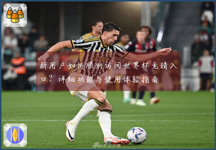 新用户如何顺利访问世界杯竞猜入口？详细功能与使用体验指南