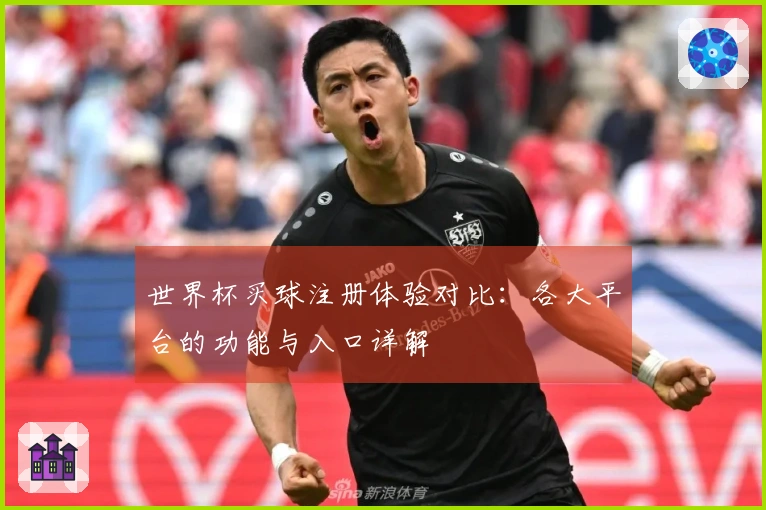 世界杯买球注册体验对比：各大平台的功能与入口详解