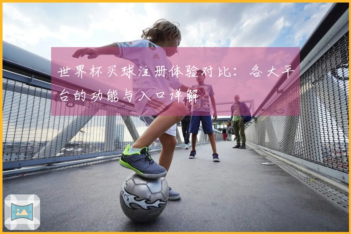 世界杯买球注册体验对比：各大平台的功能与入口详解