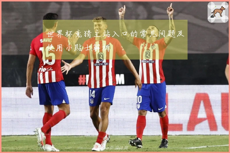 世界杯竞猜主站入口的常见问题及使用小贴士解析