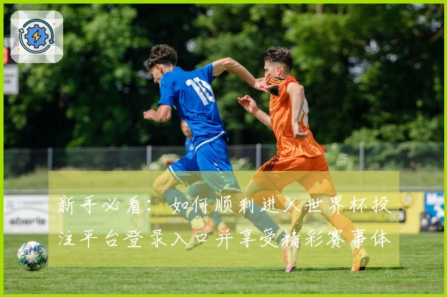 新手必看：如何顺利进入世界杯投注平台登录入口并享受精彩赛事体验