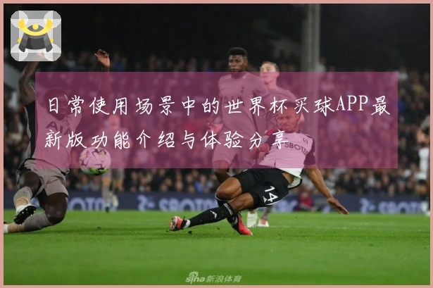 日常使用场景中的世界杯买球APP最新版功能介绍与体验分享
