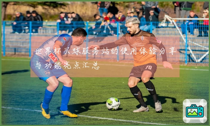 世界杯买球服务站的使用体验分享与功能亮点汇总