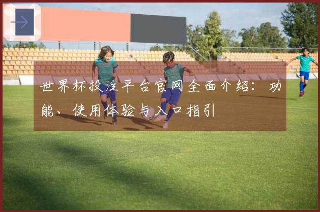 世界杯投注平台官网全面介绍：功能、使用体验与入口指引