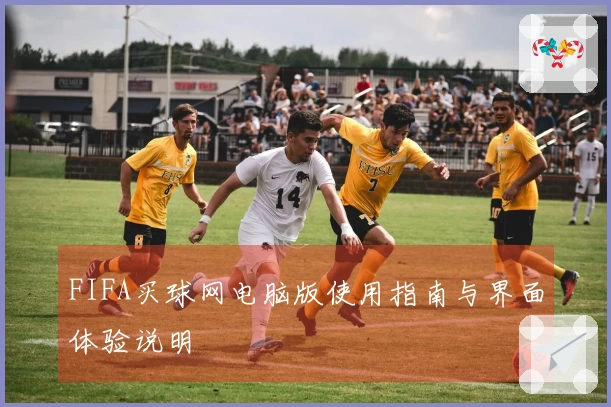 FIFA买球网电脑版使用指南与界面体验说明
